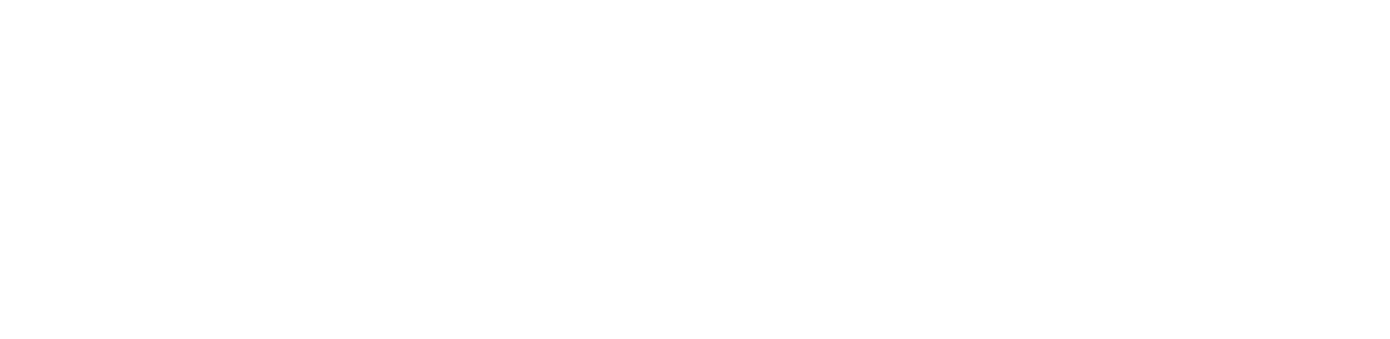 SNB Capital